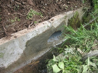 側溝に排水用の穴加工